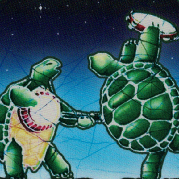 terrapintreasur